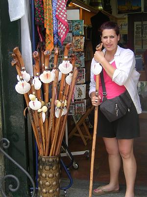 walking sticks.JPG